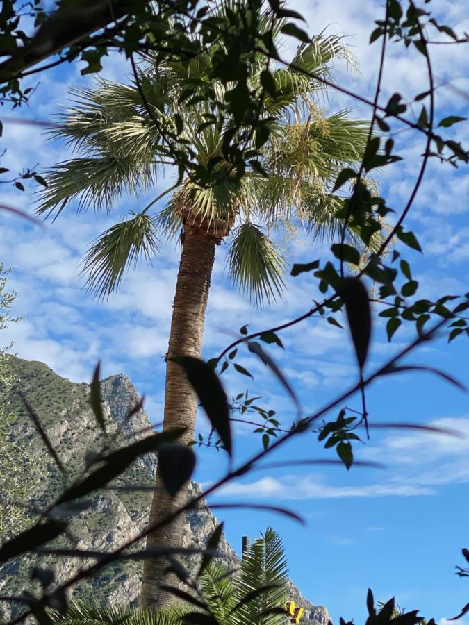 Albergo Bellavista Limone sul Garda Exterior photo